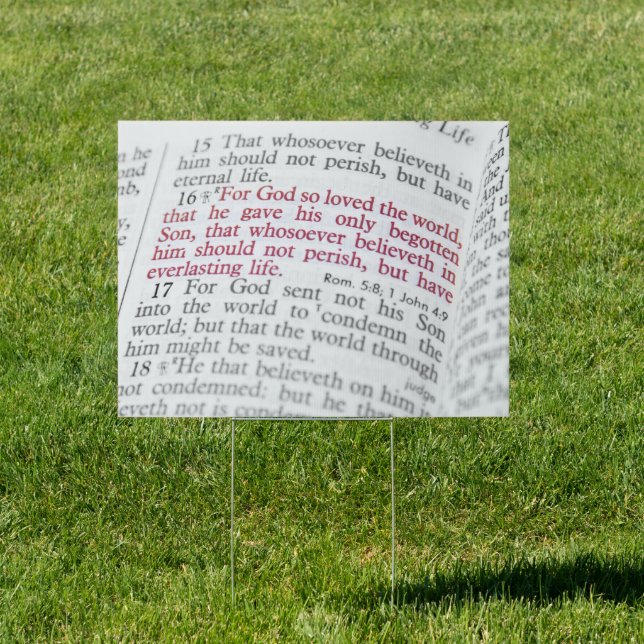 John 3:16 sign (Insitu)