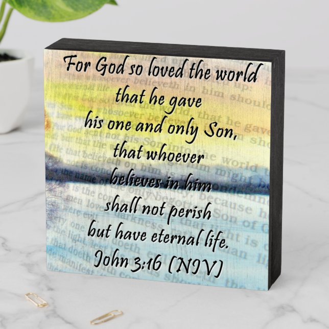 John 3:16 wooden box sign (In Situ Horizontal)