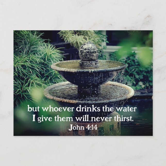 John 4:14 Whoever drinks the water I give Bible Postcard (Front)