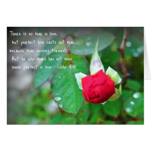 John 4:18 cards (Front Horizontal)