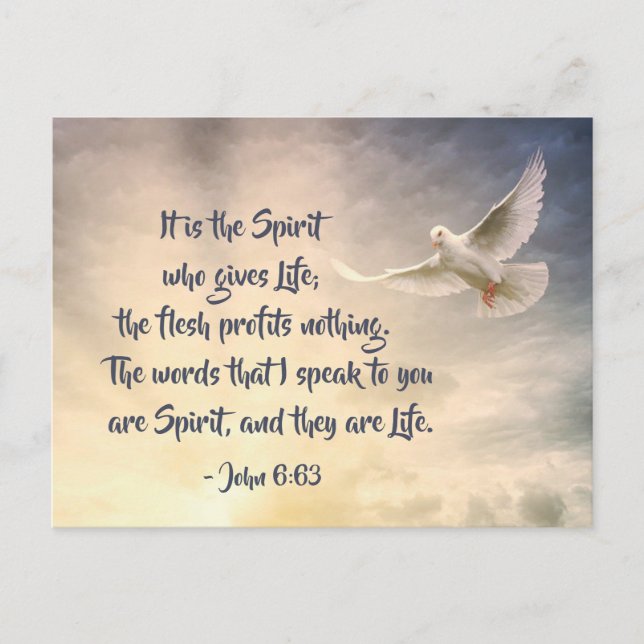 John 6:63 The Words I Speak are Spirit and Life Postcard (Front)