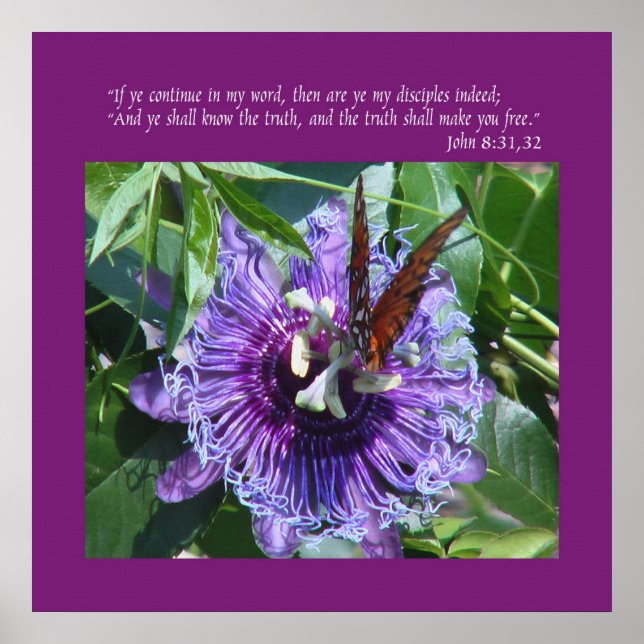 John 8 31:32 Print/Poster Poster (Front)