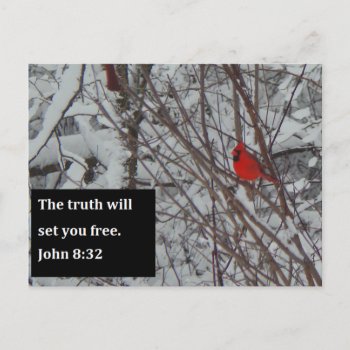 John 8:32 Scripture Post Card by PamelaRaeCreations at Zazzle