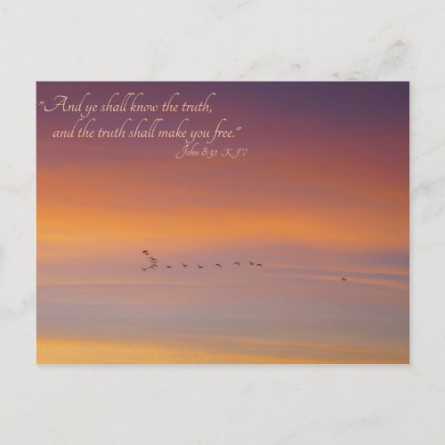 John 832 Scripture The Truth Shall Set You Free Postcard