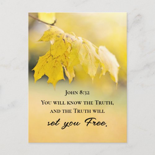 John 832 The Truth will set you FREE Bible Verse Postcard