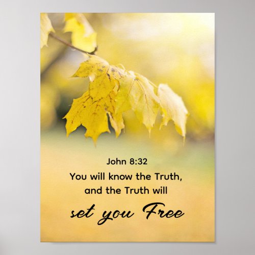 John 832 The Truth will set you FREE Bible Verse  Poster