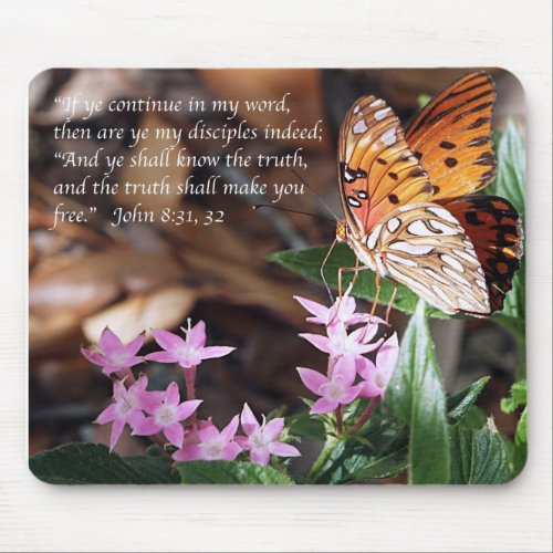 John 8 Gulf Fritillary Butterfly Mouse Pad