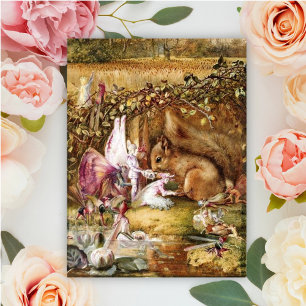 John Anster Fitzgerald - The Wounded Squirrel Postcard