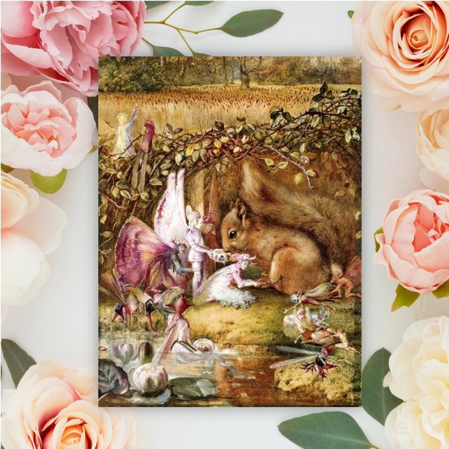 John Anster Fitzgerald - The Wounded Squirrel Postcard (Creator Uploaded)
