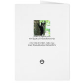 John Cable Grist Mill Cards (Back)
