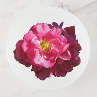 John Cabot Rose 5.75" Round Trinket Tray