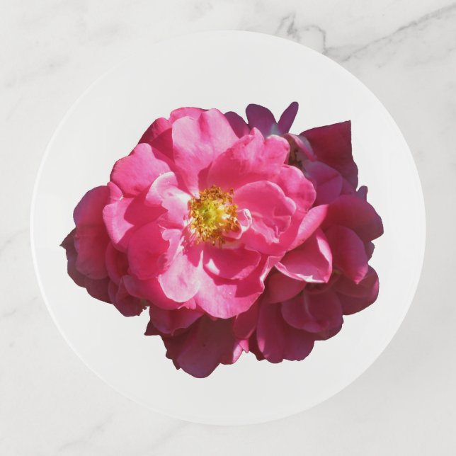 John Cabot Rose 5.75" Round Trinket Tray (Front)