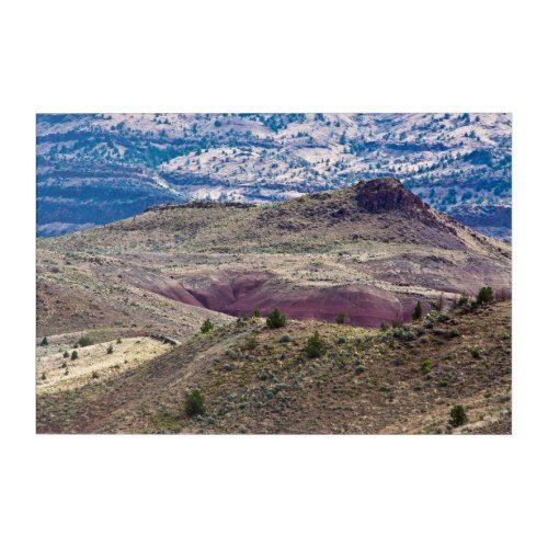 John Day Fossil Beds National Monument Oregon Acrylic Print