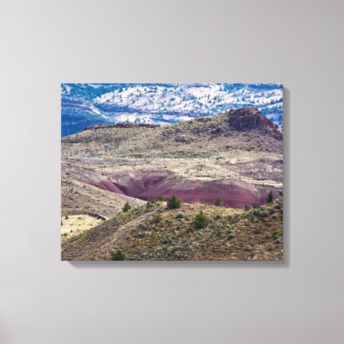 John Day Fossil Beds National Monument Oregon Canvas Print