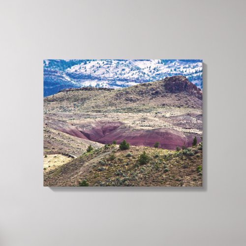 John Day Fossil Beds National Monument Oregon Canvas Print