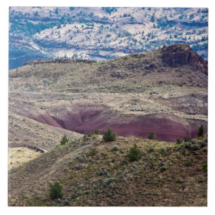 John Day Fossil Beds National Monument, Oregon Ceramic Tile