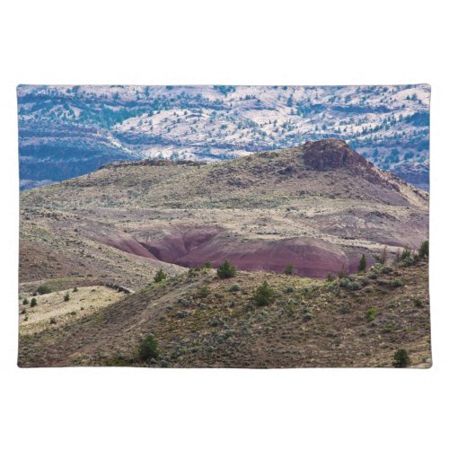 John Day Fossil Beds National Monument Oregon Cloth Placemat
