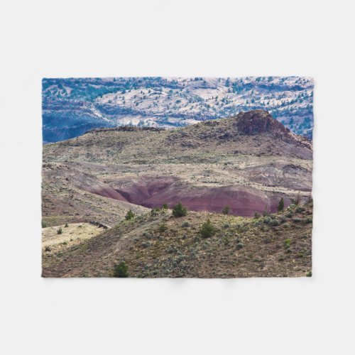 John Day Fossil Beds National Monument Oregon Fleece Blanket