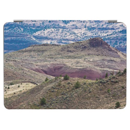 John Day Fossil Beds National Monument Oregon iPad Air Cover