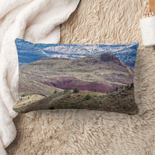 John Day Fossil Beds National Monument Oregon Lumbar Pillow