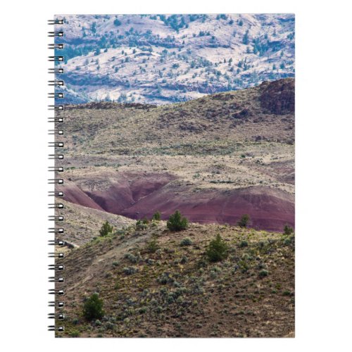 John Day Fossil Beds National Monument Oregon Notebook