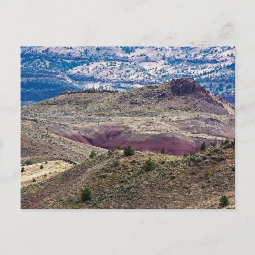John Day Fossil Beds National Monument Oregon Postcard