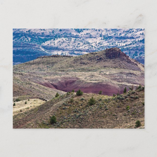 John Day Fossil Beds National Monument, Oregon Postcard (Front)