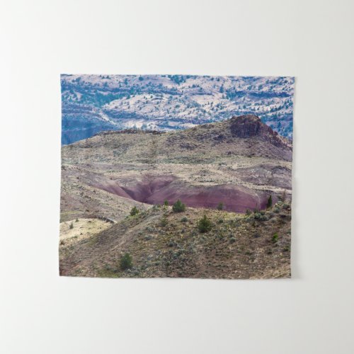 John Day Fossil Beds National Monument Oregon Tapestry