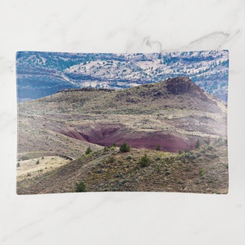 John Day Fossil Beds National Monument Oregon Trinket Tray