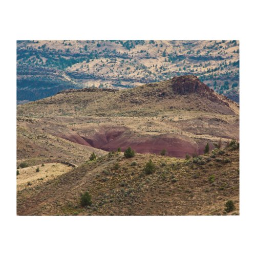 John Day Fossil Beds National Monument Oregon Wood Wall Art