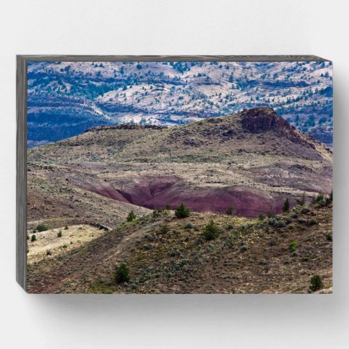 John Day Fossil Beds National Monument Oregon Wooden Box Sign