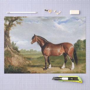 John Frederick Herring A Clydesdale Stallion Tissue Paper