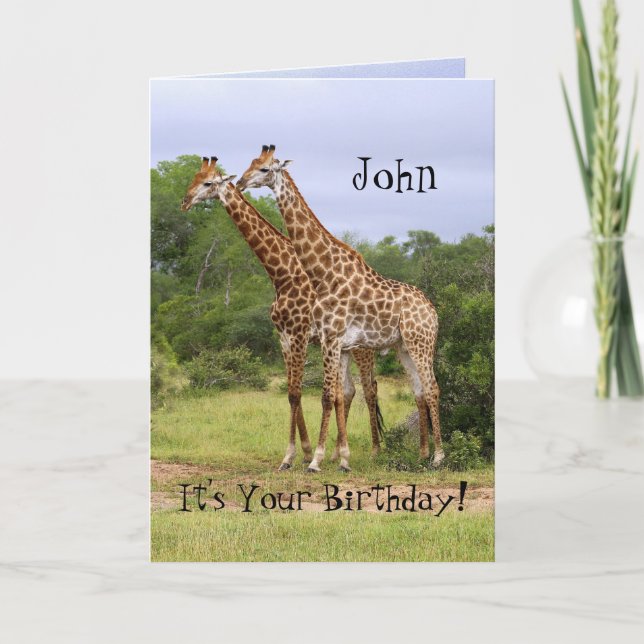 John "Go Wild" Happy Birthday Giraffes Card (Front)