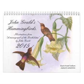 John Gould's Hummingbirds 2015 Calendar by Vintagearian at Zazzle