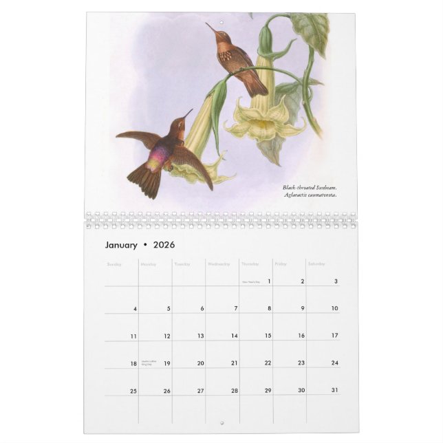 John Gould's Hummingbirds 2015 Calendar (Jan 2026)