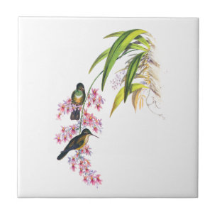 John Gould's Pink Orchids and Hummingbirds Tile