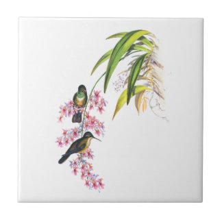 John Gould's Pink Orchids and Hummingbirds Tile