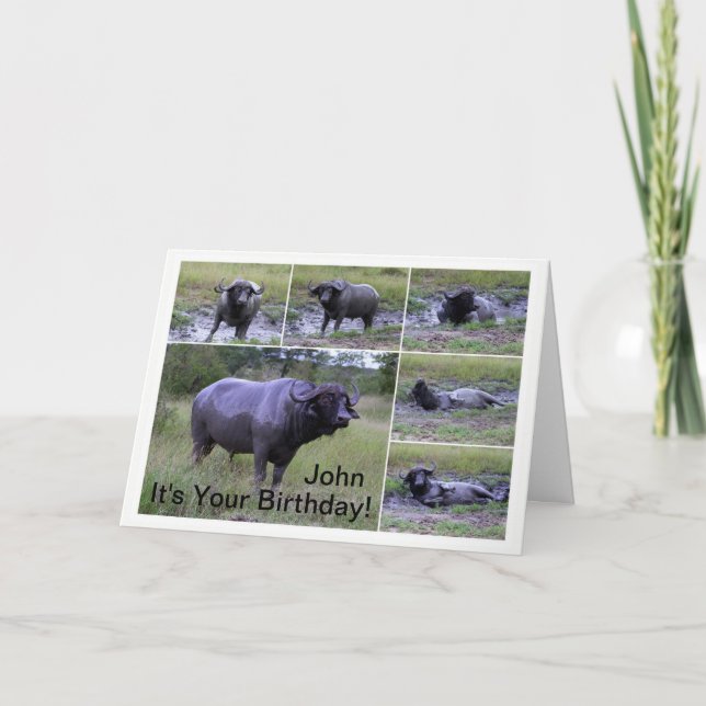 John Happy Birthday Cape Buffalo Mud Bath Card (Front)