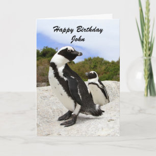 John Happy Birthday Penguins Humor Card