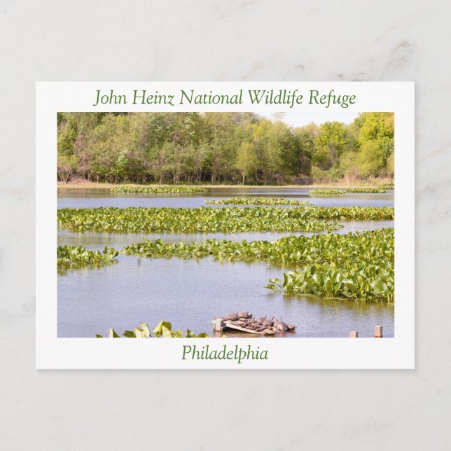John Heinz National Wildlife Refuge Postcard (Front)