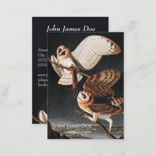 John James Audubon Barn Owls Business Card
