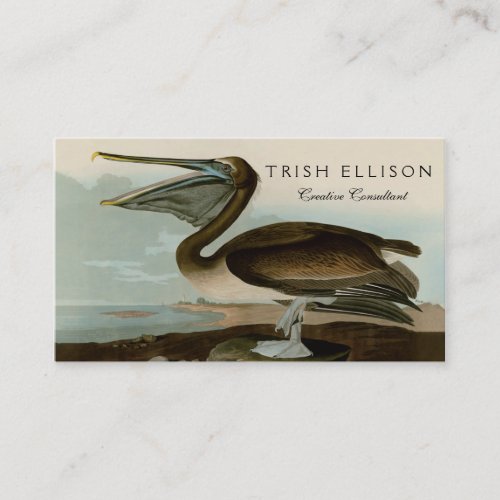 John James Audubon Brown Pelican Artwork Painting Business Card