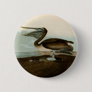 John James Audubon Brown Pelican Artwork Painting Button