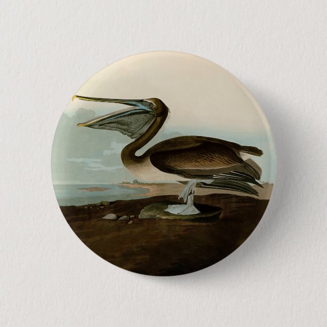 John James Audubon Brown Pelican Artwork Painting Button (Front)