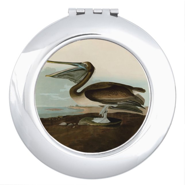 John James Audubon Brown Pelican Artwork Painting Compact Mirror (Front)