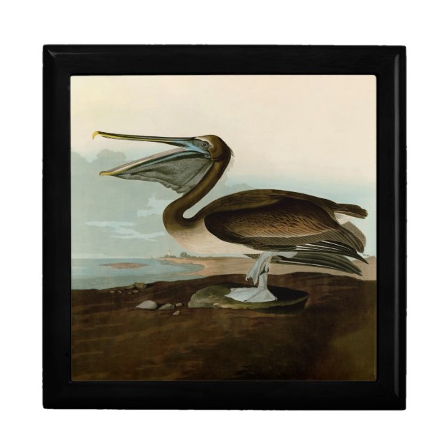 John James Audubon Brown Pelican Artwork Painting Gift Box (Front)