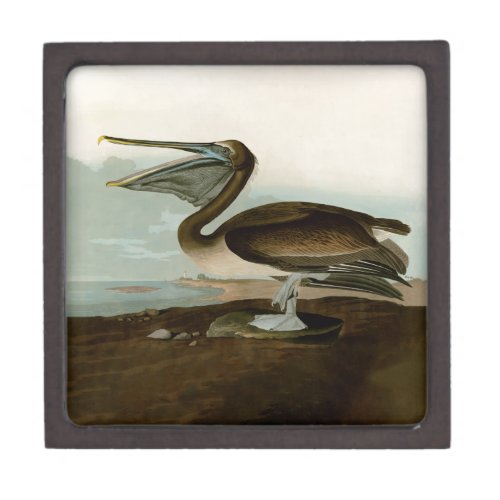 John James Audubon Brown Pelican Artwork Painting Gift Box