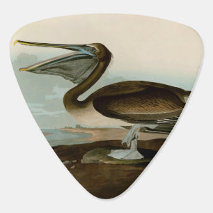 John James Audubon Brown Pelican Artwork Painting Guitar Pick