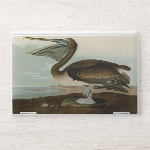 John James Audubon Brown Pelican Artwork Painting HP Laptop Skin