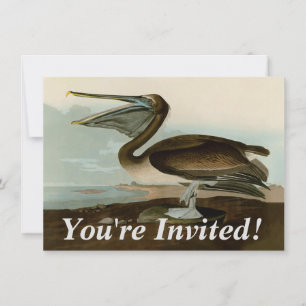 John James Audubon Brown Pelican Artwork Painting Invitation
